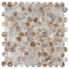 See SomerTile - Conchella Penny Natural Seashell Mosaic - Natural