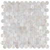 See SomerTile - Conchella Penny Natural Seashell Mosaic - White