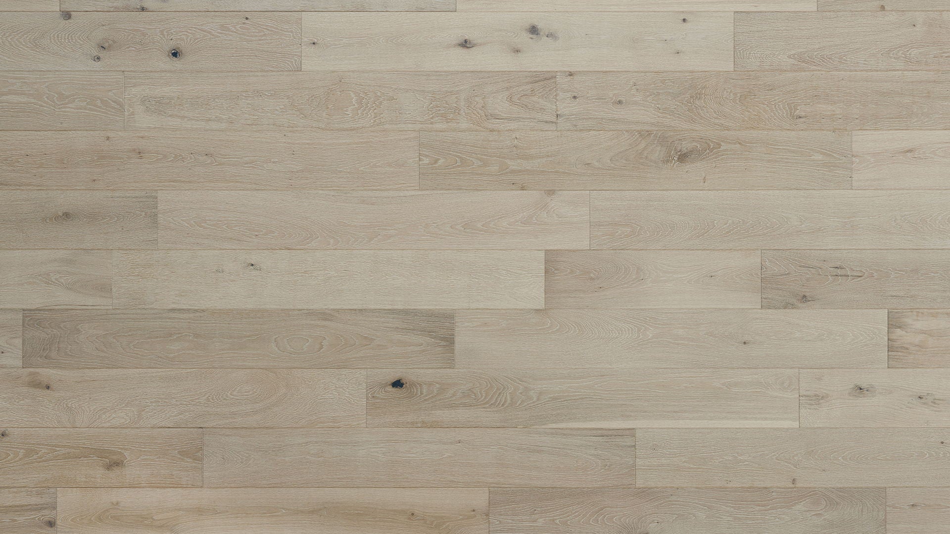 HF Design - Laguna Plank 6.5 in. x 67 in. RL European White Oak - Cadiz