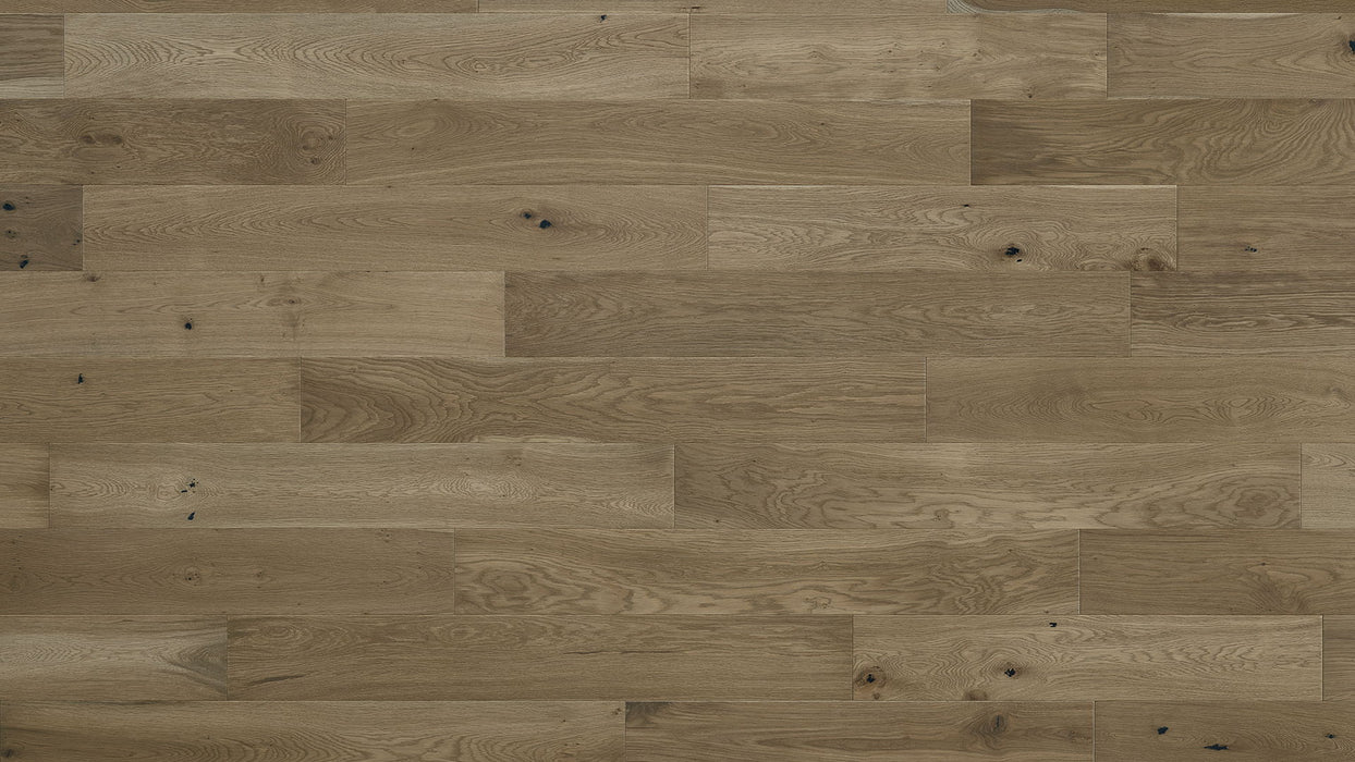 HF Design - Laguna Plank 6.5 in. x 67 in. RL European White Oak - Monte Beach