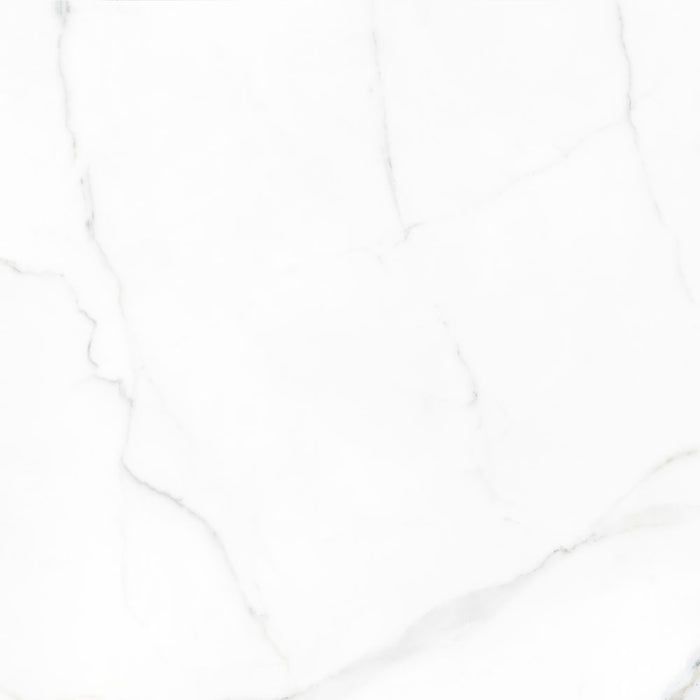 Happy Floors - Statuario 24 in. x 24 in. Rectified Porcelain Tile - (Glossy)