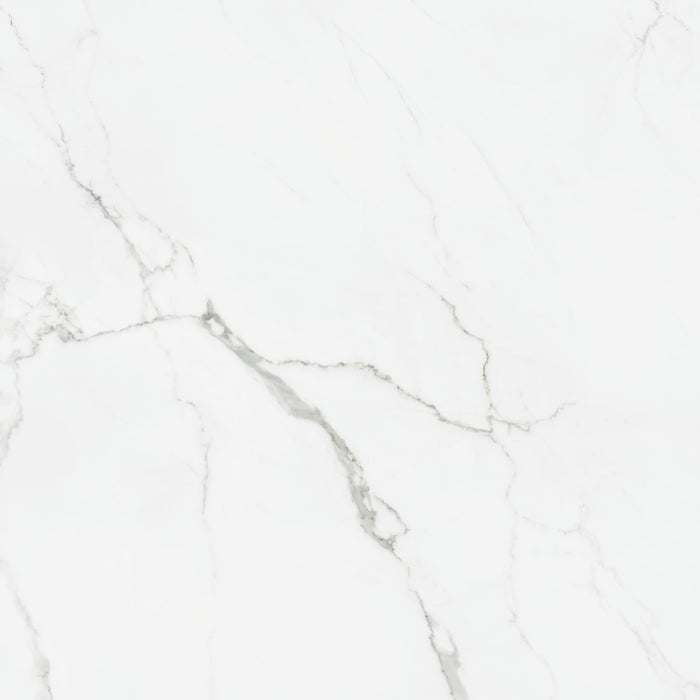 Happy Floors - Statuario 30 in. x 30 in. Rectified Porcelain Tile - (Matte)