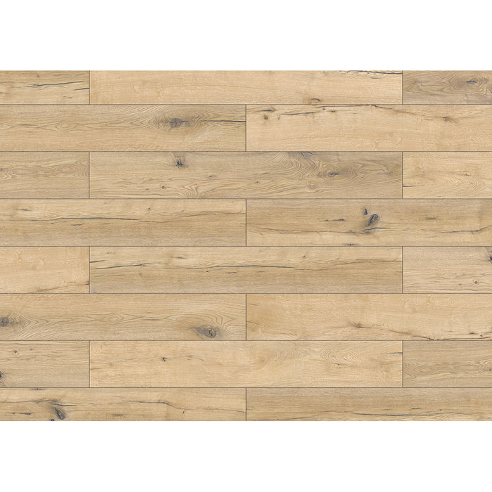 Inhaus - Solido Visions Collection With Pad - Buckthorn