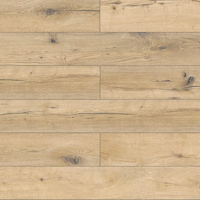 Inhaus - Solido Visions Collection With Pad - Buckthorn
