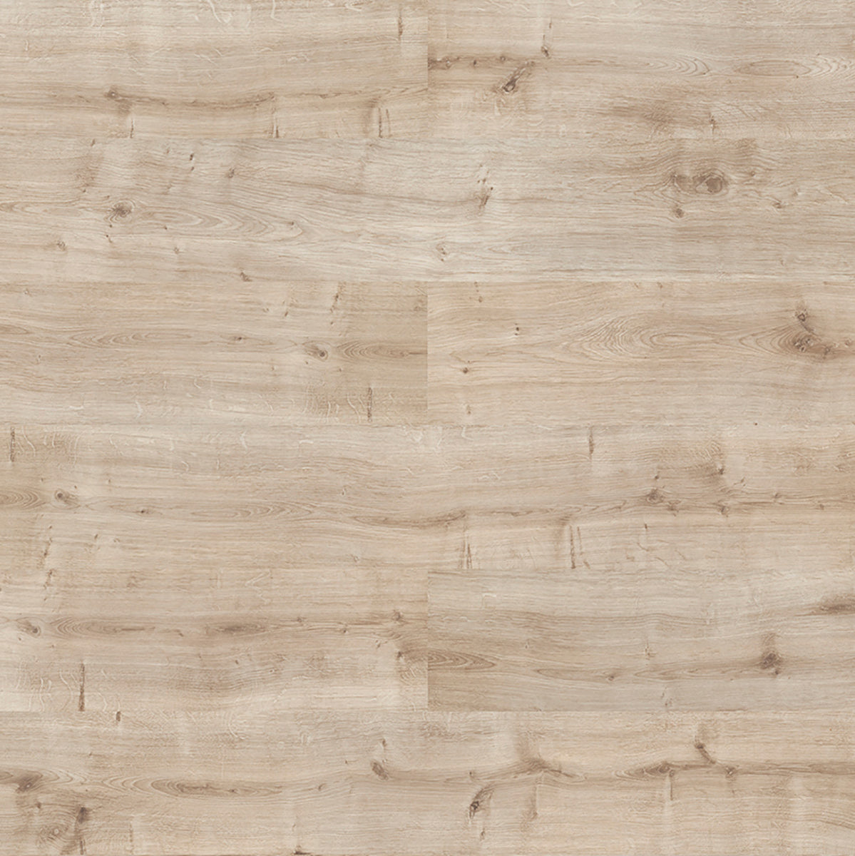 Inhaus - Solido Visions Collection - Natural Oak