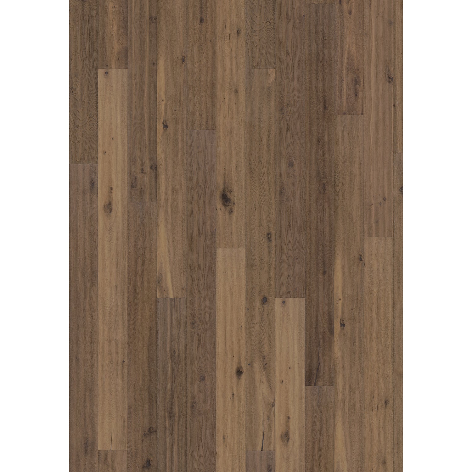 Shaw Floors - Glee Chevron 6 in. x 20 in. Glazed Porcelain - Noce - Floorzz