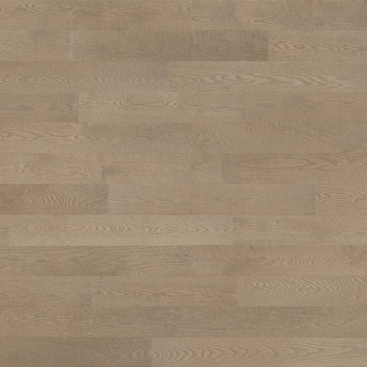 Lauzon - Ambiance Tempo 5 3/16&quot; Nextstep Engineered Hardwood - Red Oak Arabesque