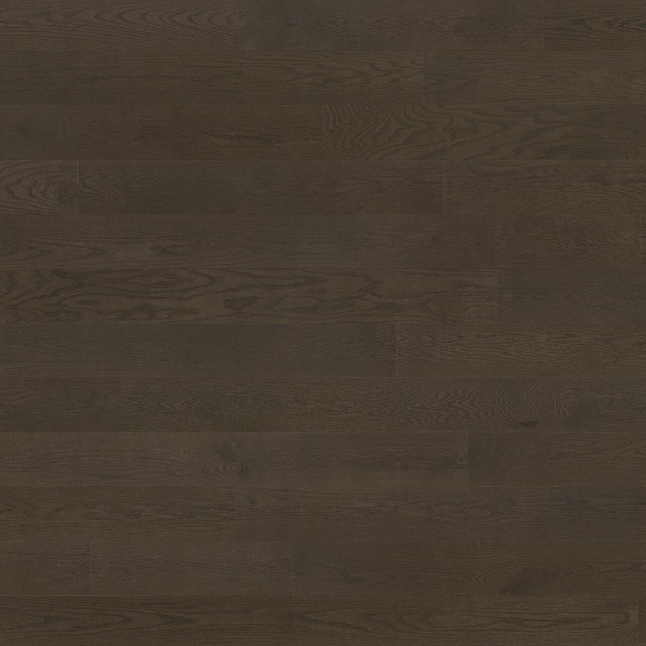 Lauzon - Ambiance Tempo 5 3/16" Nextstep Engineered Hardwood - Red Oak Cadenza