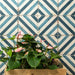 Lungarno Ceramics - Retrospectives 8 in. x 8 in. Ceramic Tile - Royal Blues Installed