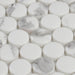 Lungarno - Simple Stone Glass Mosaic - Bianco Pennyround Close