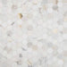 MSI - Calacatta Gold 2 in. Hexagon Marble Mosaic - Polished