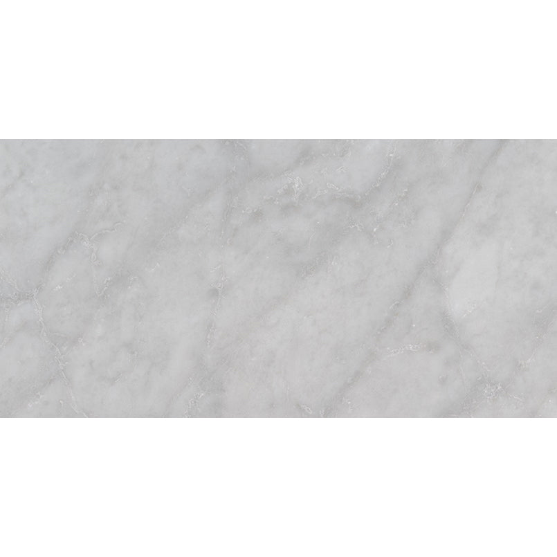 MSI - Carrara White 12 in. x 24 in. Marble Tile - Polished