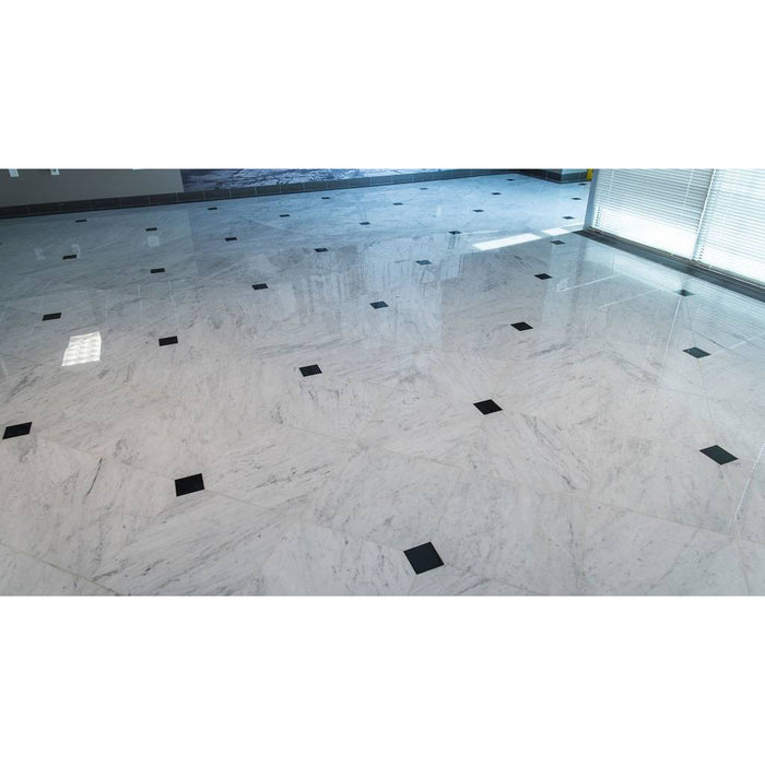 MSI - Carrara White 18 in. x 18 in. Marble Tile - Honed Room Scene