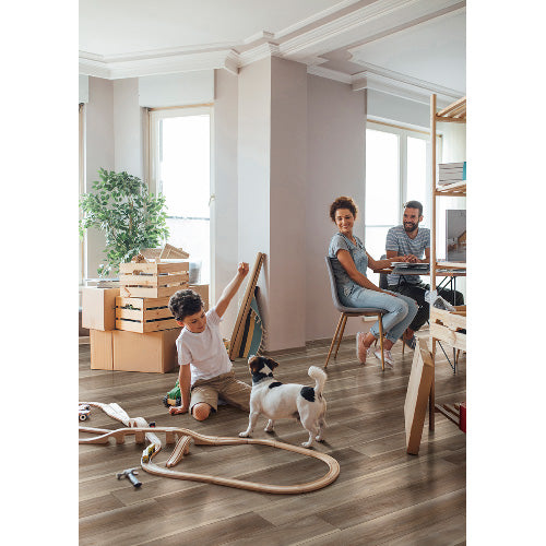 MSI - Andover Series - Highcliffe Greige — Floorzz