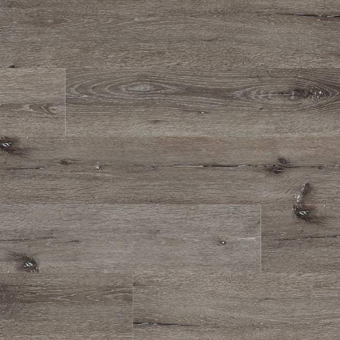 MSI - Rigid Core - Cyrus Series - Ludlow
