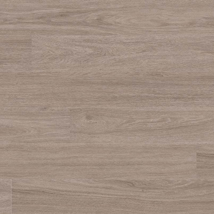 MSI - Dryback - Katavia Series - Bleached Elm