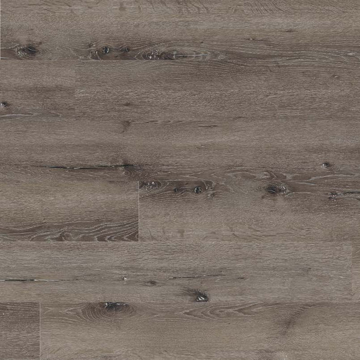 MSI - Dryback - Glenridge Series - Charcoal Oak