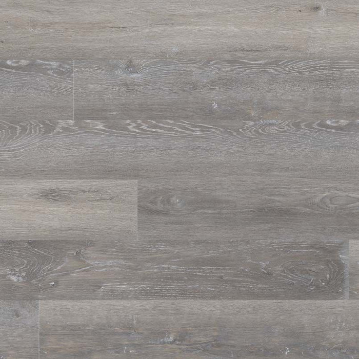 MSI - Dryback - Glenridge Series - Elmwood Ash