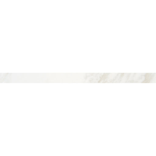 MB20P43F91L1