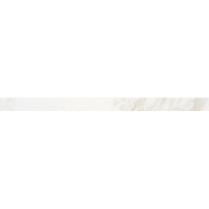 MB20P43F91L1