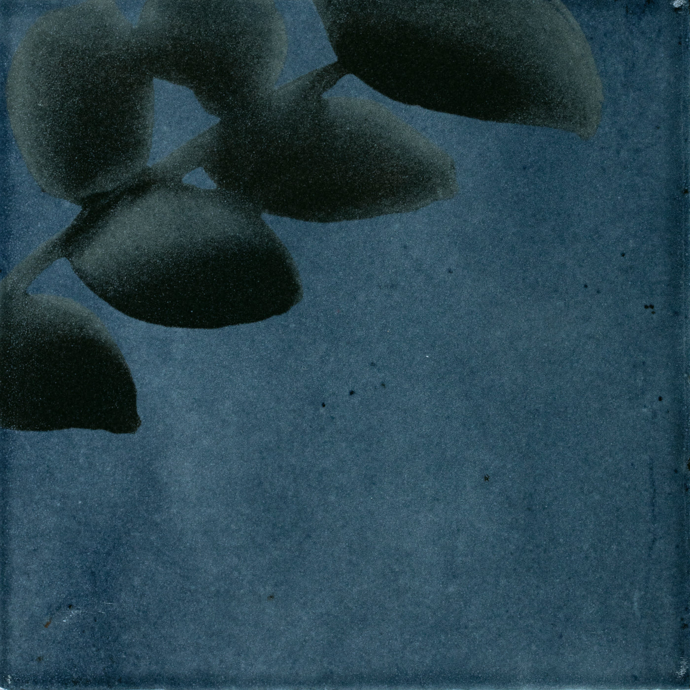 Blue Rice Tiles Marazzi - Rice - 6 in. x 6 in. Glazed Porcelain Wall Tile - Blu Deco ...