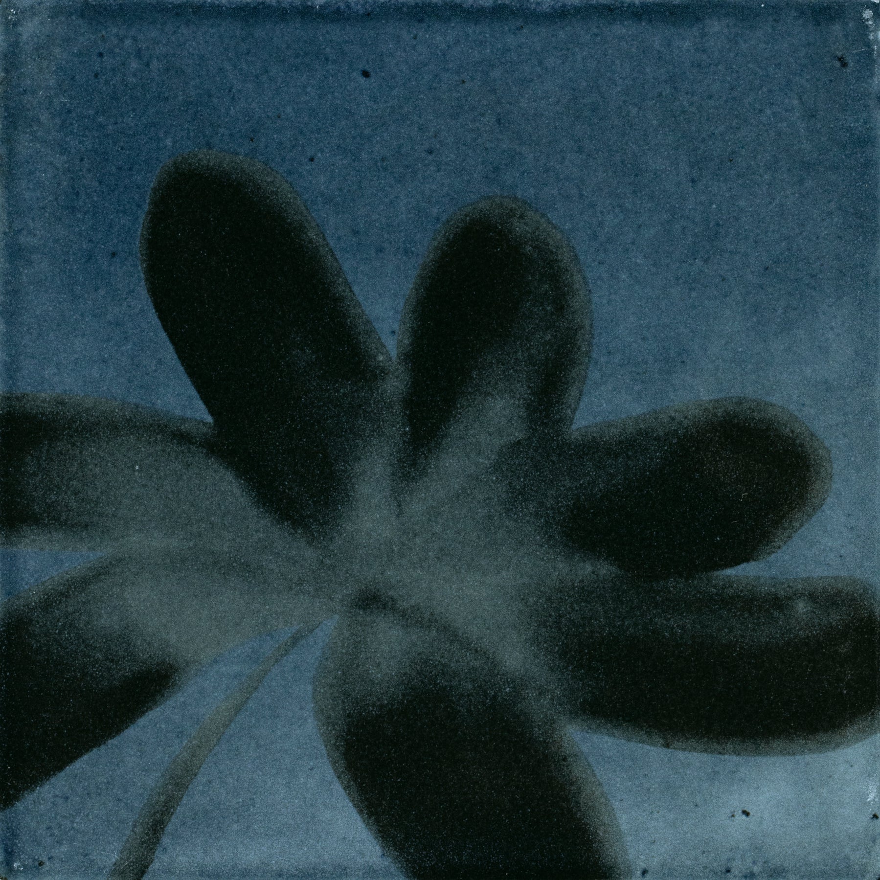Marazzi - Rice - 6 in. x 6 in. Glazed Porcelain Wall Tile - Blu Deco ...