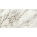 Marazzi - Savoir - 24 in. x 48 in. Colorbody Porcelain Tile - Cafe Polished