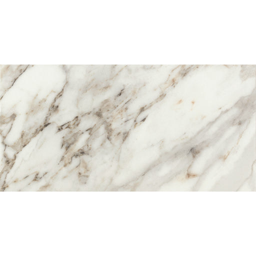 Marazzi - Savoir - 12 in. x 24 in. Colorbody Porcelain Tile - Cafe