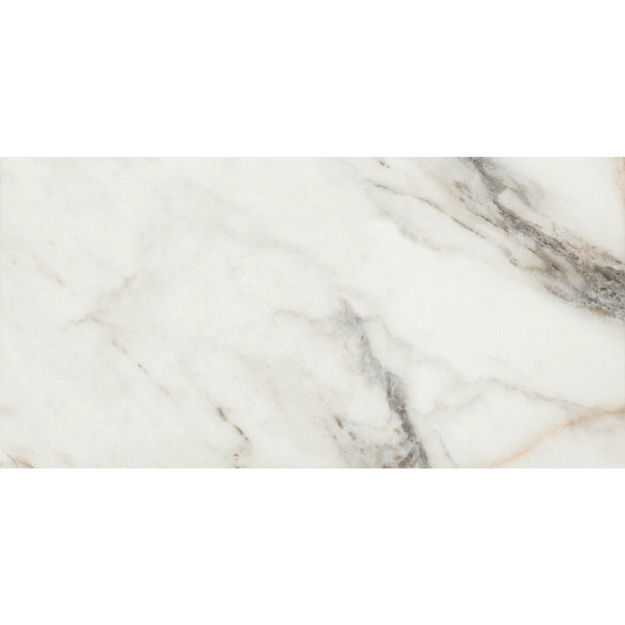 Marazzi - Savoir - 24 in. x 48 in. Colorbody Porcelain Tile - Cafe Polished