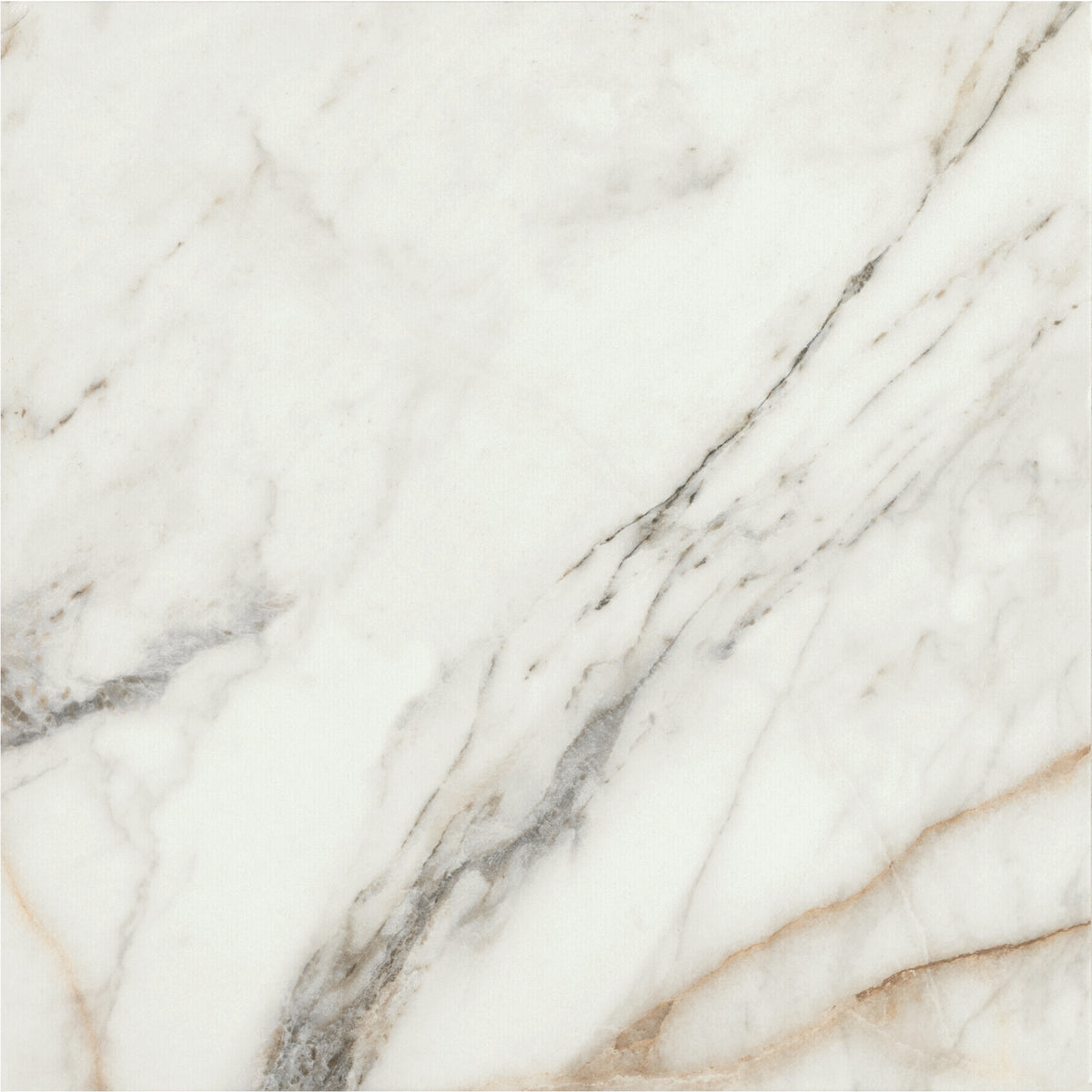 Marazzi - Savoir - 24 in. x 24 in. Colorbody Porcelain Tile - Cafe Polished