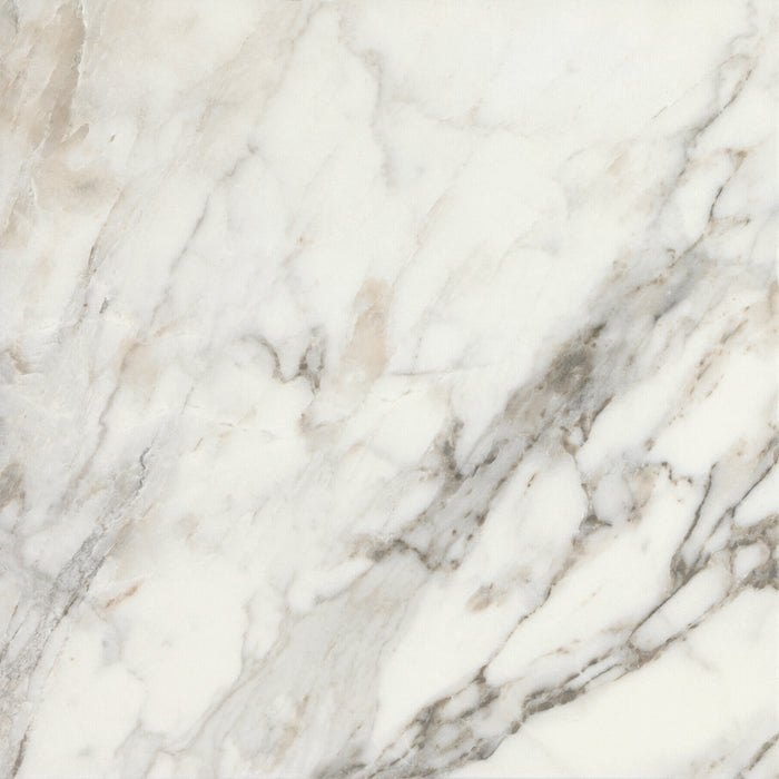 Marazzi - Savoir - 24 in. x 24 in. Colorbody Porcelain Tile - Cafe Polished