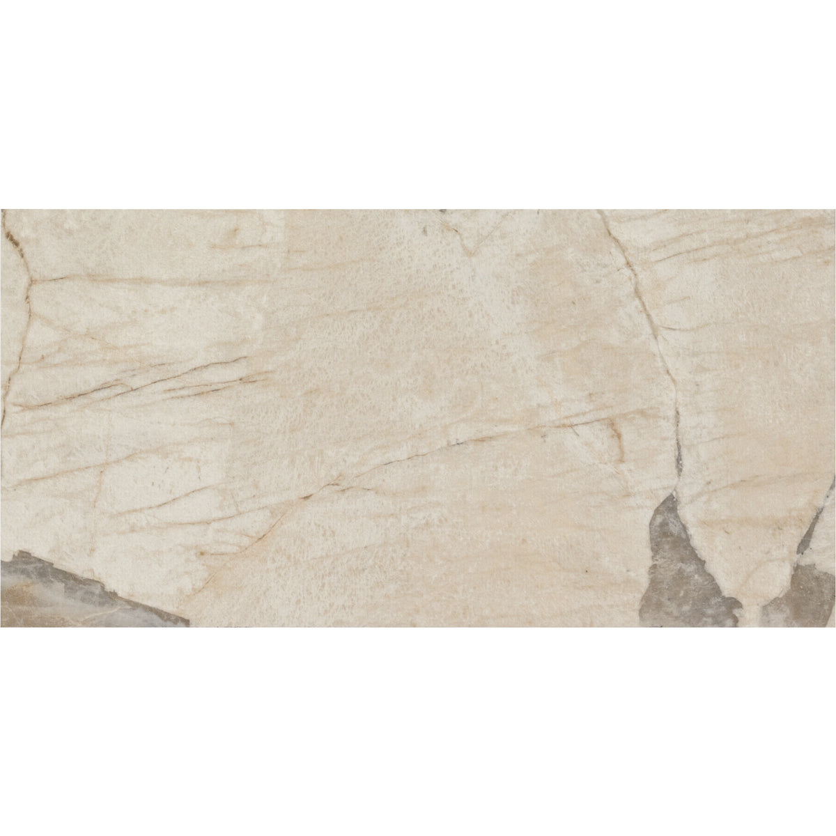 Marazzi - Savoir - 24 in. x 48 in. Colorbody Porcelain Tile - Pierre Polished