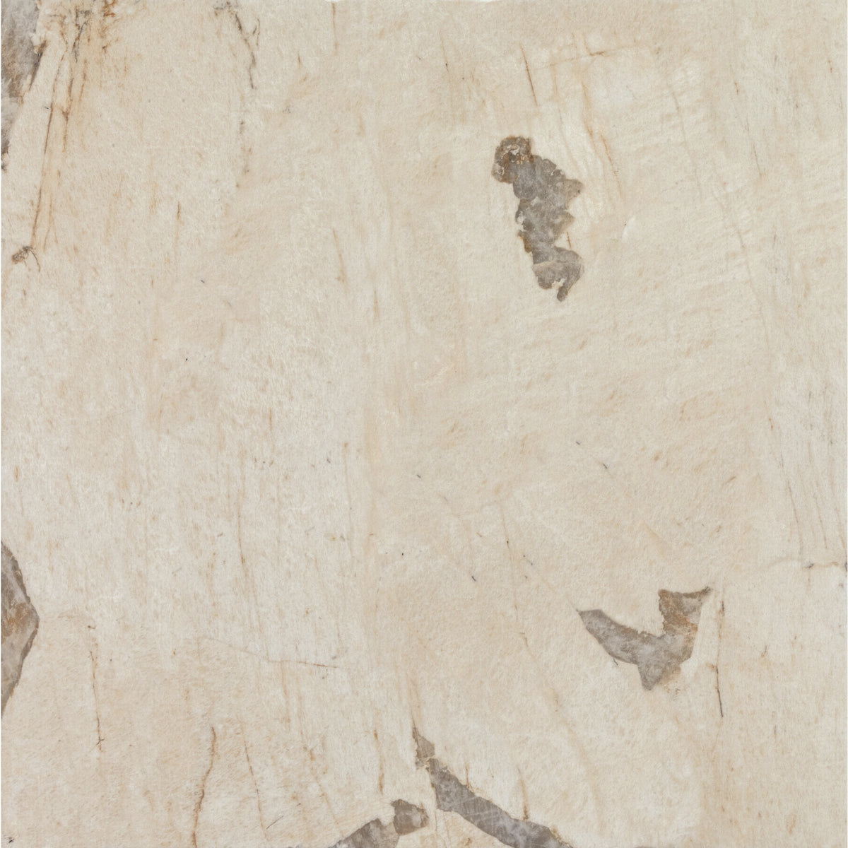 Marazzi - Savoir - 24 in. x 24 in. Colorbody Porcelain Tile - Pierre Polished
