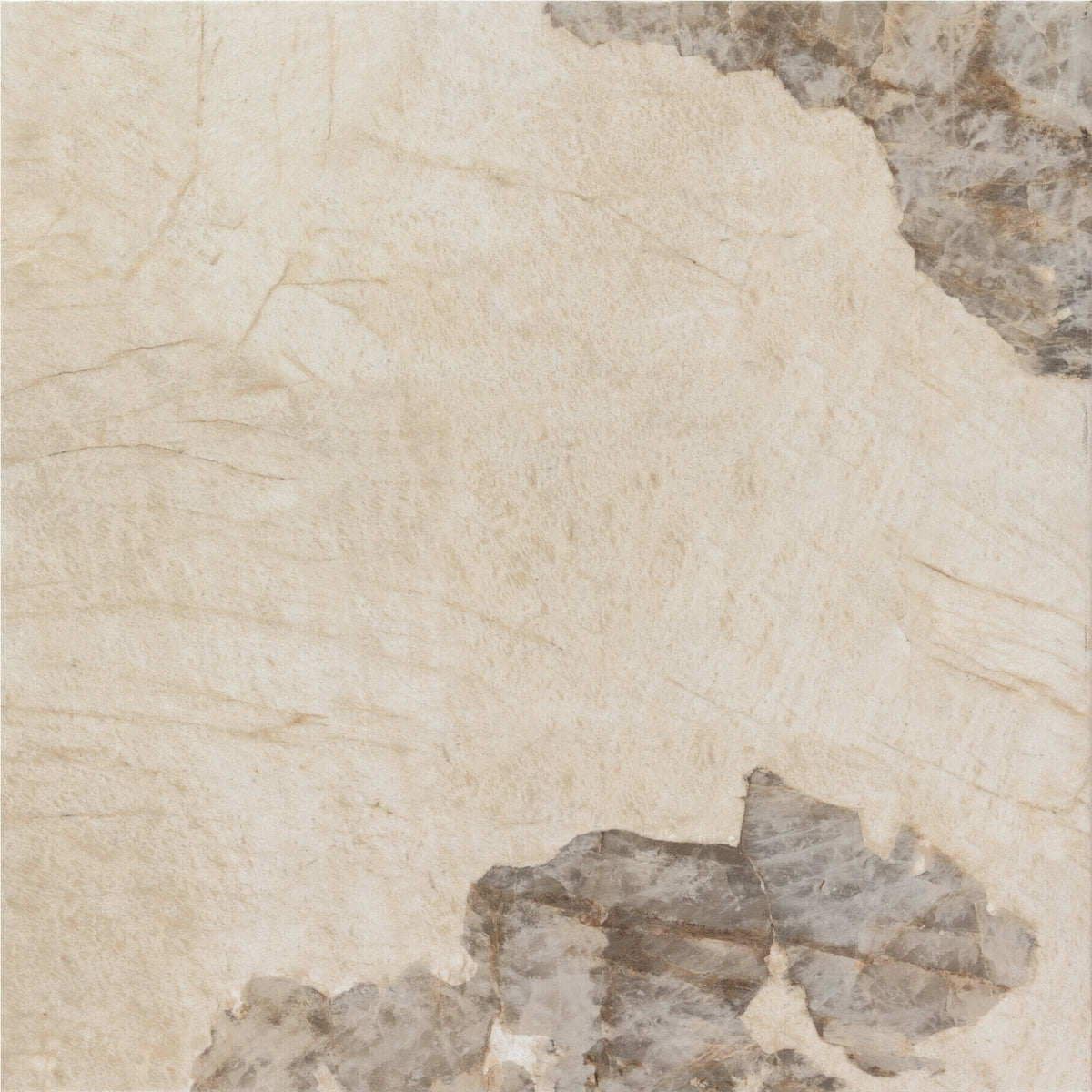 Marazzi - Savoir - 24 in. x 24 in. Colorbody Porcelain Tile - Pierre Polished