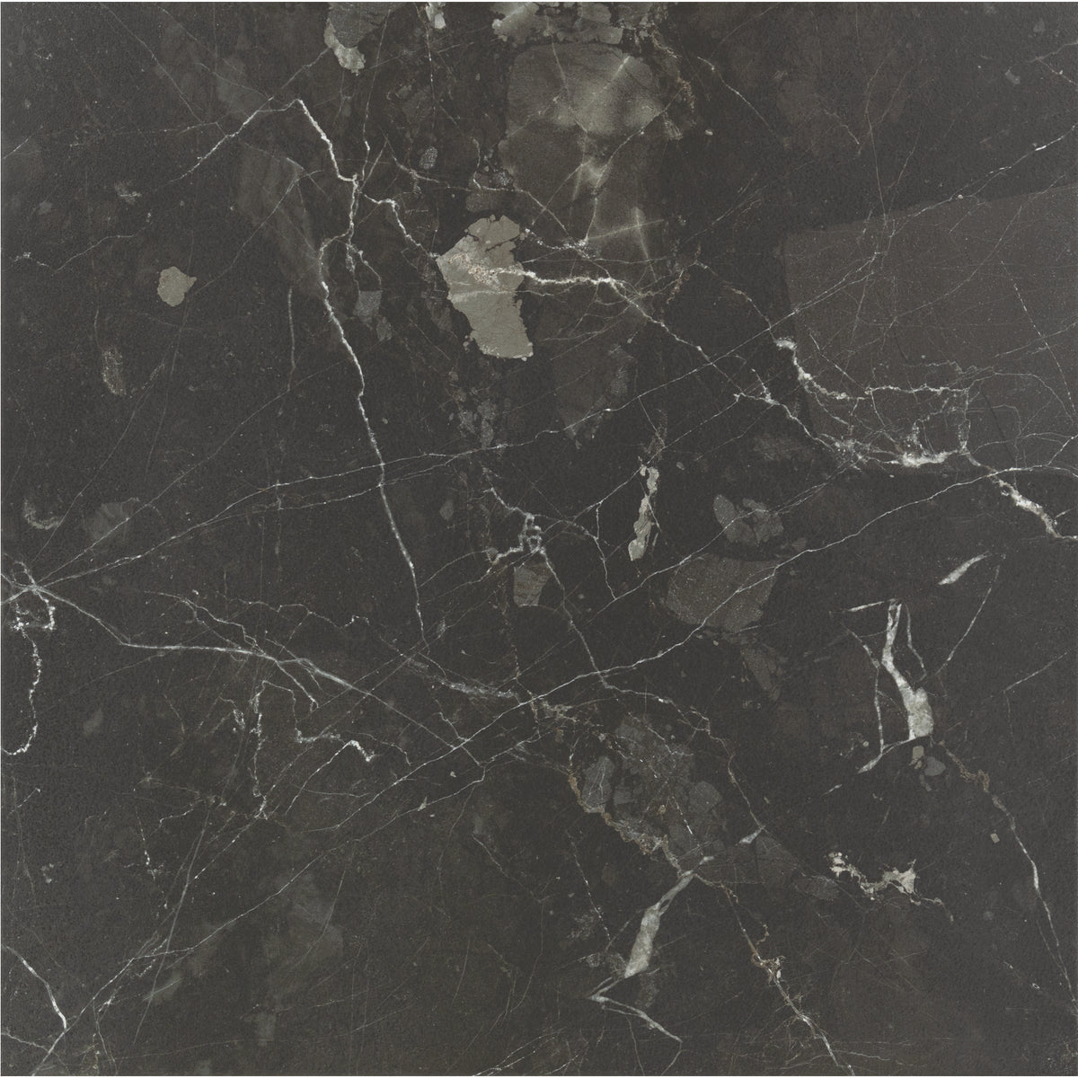 Marazzi - Savoir - 24 in. x 24 in. Colorbody Porcelain Tile - Noir Polished