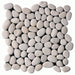 Maniscalco - Botany Bay Pebbles - Cream