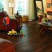 Mannington - Adura Max Plank - Acacia 6 in. x 48 in. - African Sunset