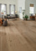 Mannington - Sanctuary - Dune Room Scene