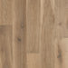 Mannington - Sanctuary - Dune