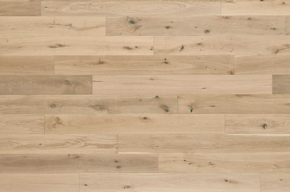 SANC10SHL1 Variation View