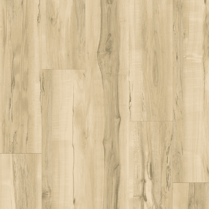 Resolve - 6.0 Series - 9