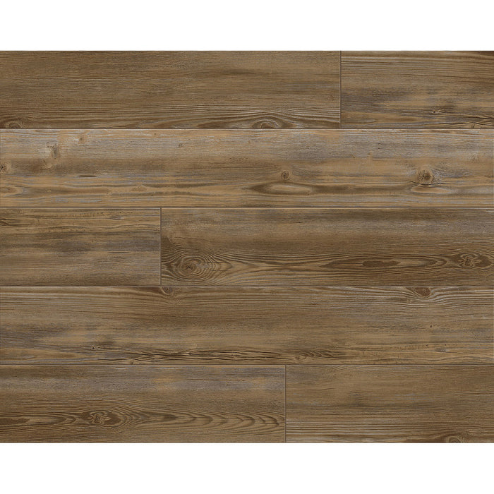 MetroFlor - Engage Inception 120 Collection - Bee Hive