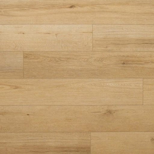 みりおん 楽天市場】クロックス メンズ レディース サンダル CROCS