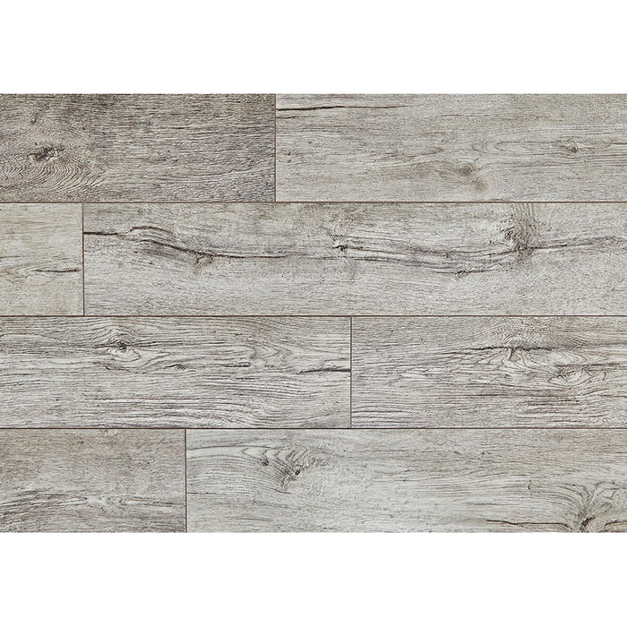 Palmetto Road - Brunswick Collection - Westward