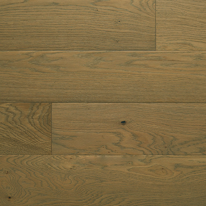 Palmetto Road - Monet Collection - Paris