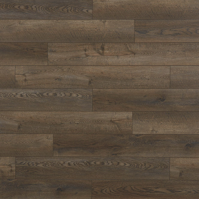 Palmetto Road - Impact Collection - Dunes