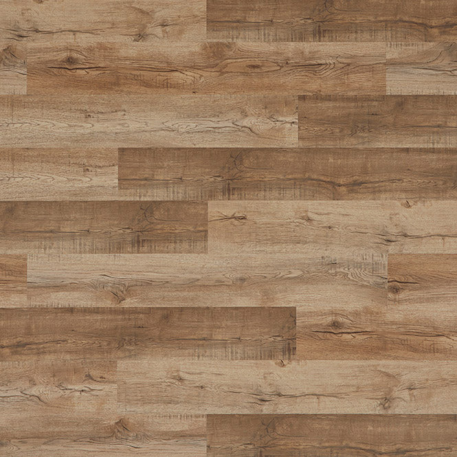 Palmetto Road - Inspire Collection - Riverside