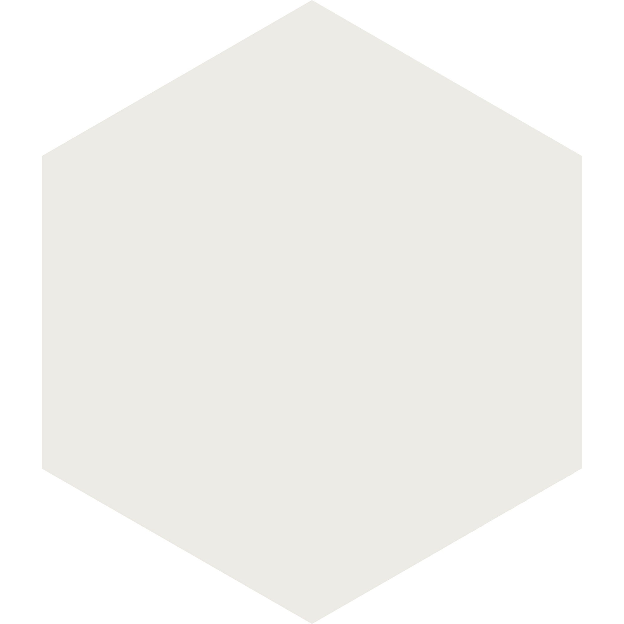 Arizona Tile - Paros Series 14" x 16" Rectified Color Body Porcelain Hexagon Tile - White