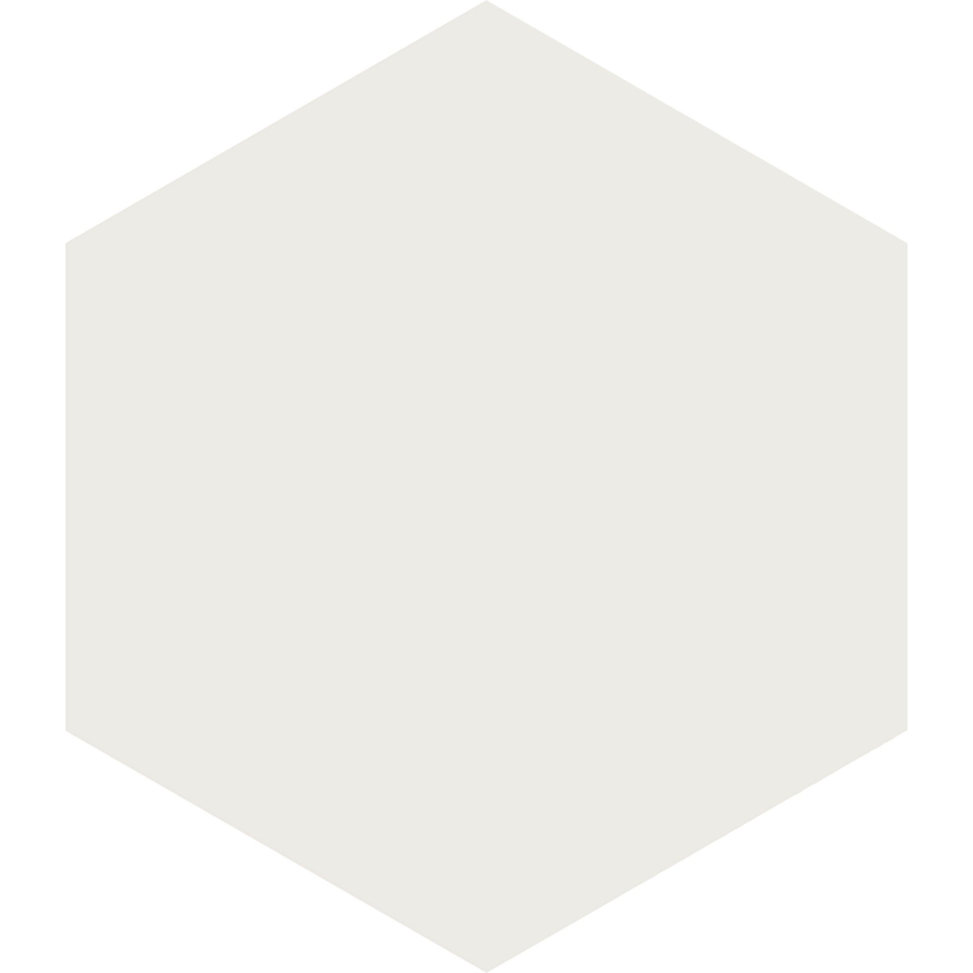 Arizona Tile - Paros Series 8.5" x 10" Rectified Color Body Porcelain Hexagon Tile - White
