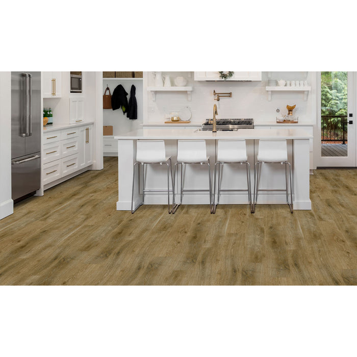 Phenix - Tempo - Motion